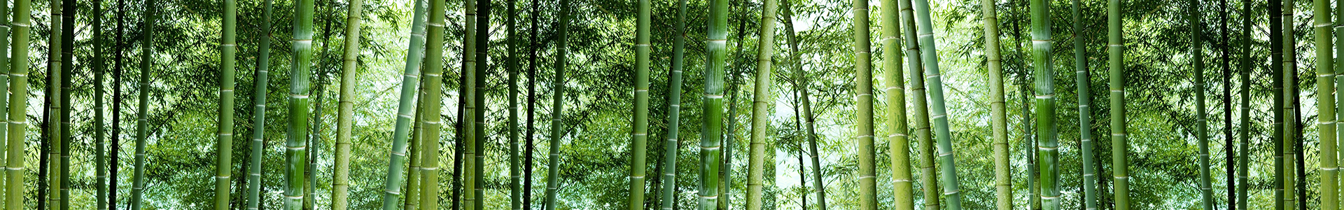 發(fā)明專利